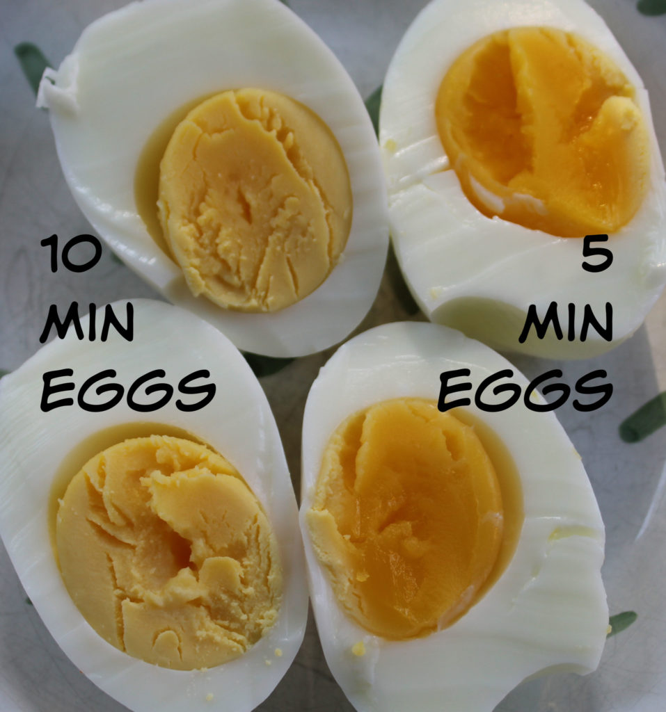 comparison between the 5 minute egg and the 10 minute egg with words