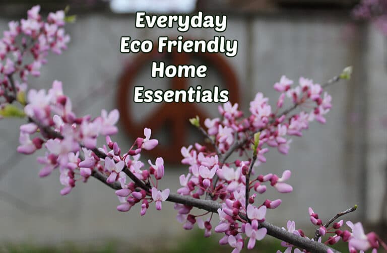 eco friendly home essentials with blooming redbud in forground and rusty peace sign in background