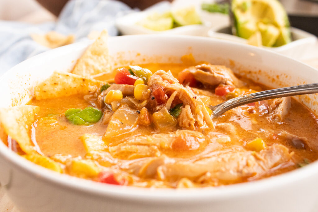 close up of side view of a spoon in Chicken tortilla soup